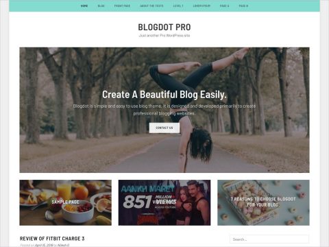 Blogdot Premium WordPress blog theme