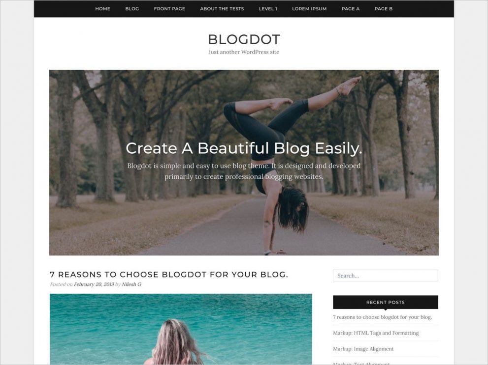 WordPress Blog Theme - Blogdot - Free